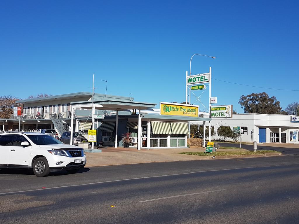 Wattle Tree Motel Cootamundra Εξωτερικό φωτογραφία